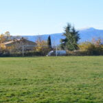 le stade de Revest du Bion